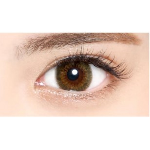 (EC1008)EverColor 1day Moisture &UV Melty Olive 10片裝